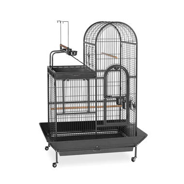 Cat proof sale bird cage